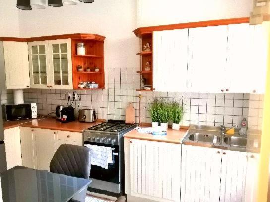 Free Garage Parking, Ac And Bikes In The Downtown Leilighet Budapest Eksteriør bilde